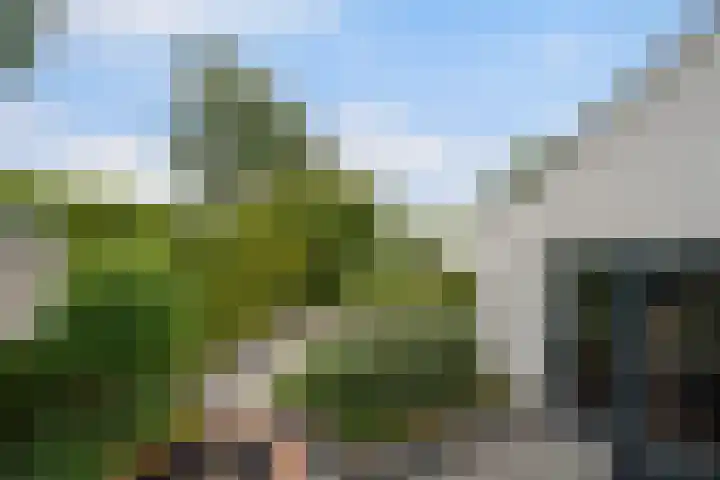 Maaskant-erf 45 Dordrecht thumbnail 30