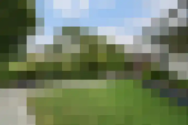 Maaskant-erf 45 Dordrecht thumbnail 31