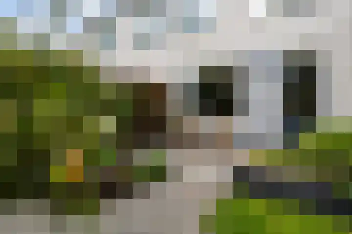 Maaskant-erf 45 Dordrecht thumbnail 33