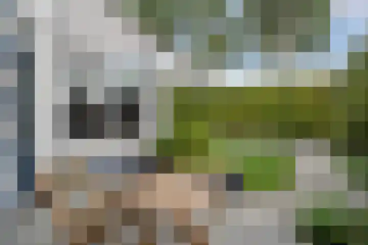 Maaskant-erf 45 Dordrecht thumbnail 34