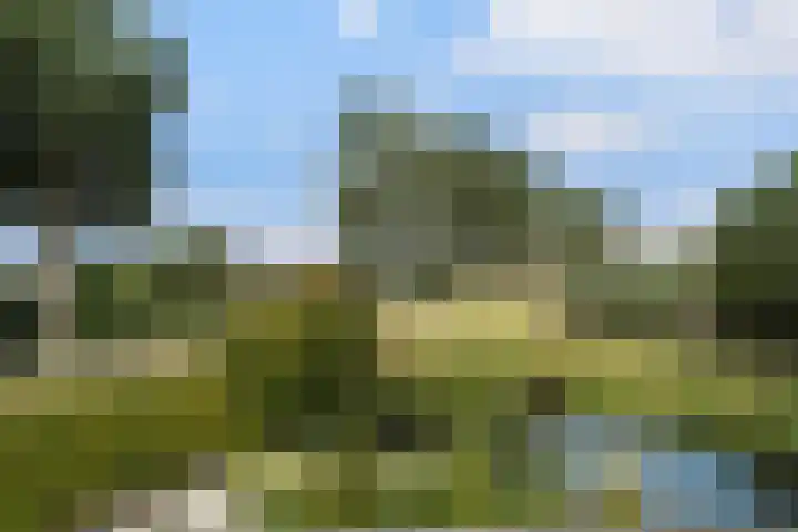 Maaskant-erf 45 Dordrecht thumbnail 44