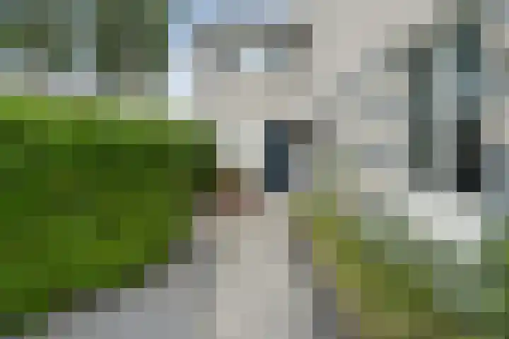 Maaskant-erf 45 Dordrecht thumbnail 5