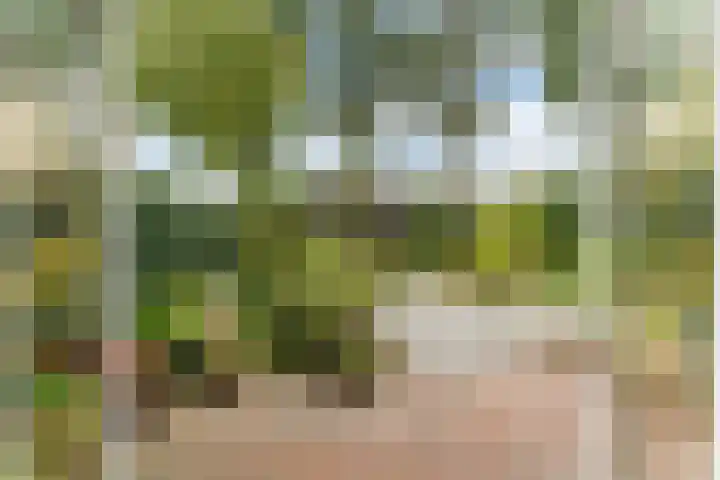 Maaskant-erf 48 Dordrecht thumbnail 9