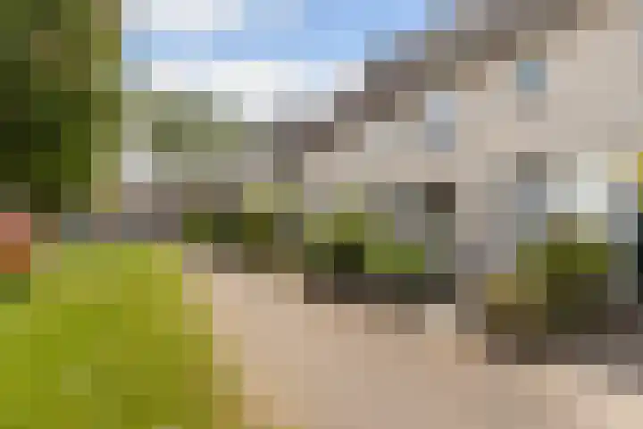 Maaskant-erf 88 Dordrecht thumbnail 6