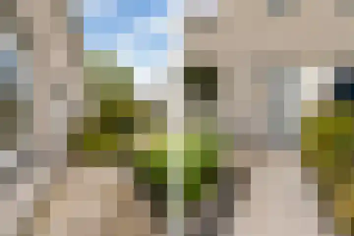 Maaskant-erf 88 Dordrecht thumbnail 7