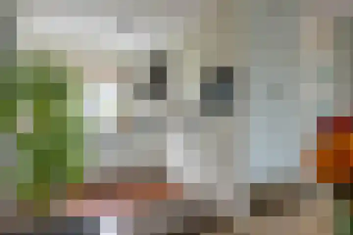 Maaskantlaan 20 Groningen thumbnail 17