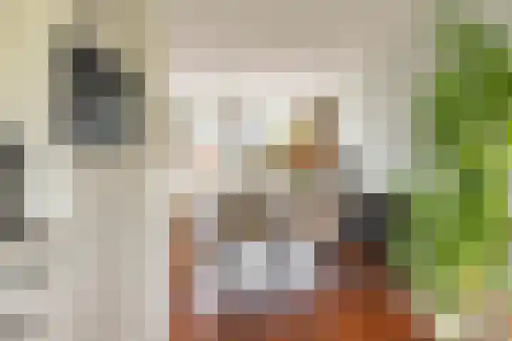 Maaskantlaan 20 Groningen thumbnail 21
