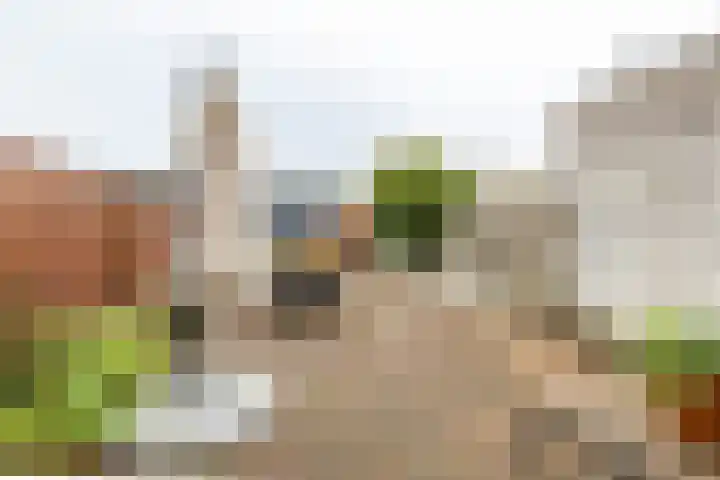 Maaskantlaan 20 Groningen thumbnail 37