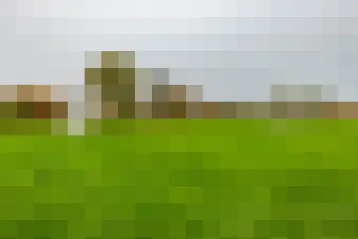 Maaskantlaan 20 Groningen thumbnail 41