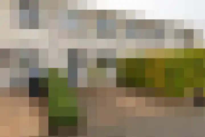 Maaskantlaan 20 Groningen thumbnail 7