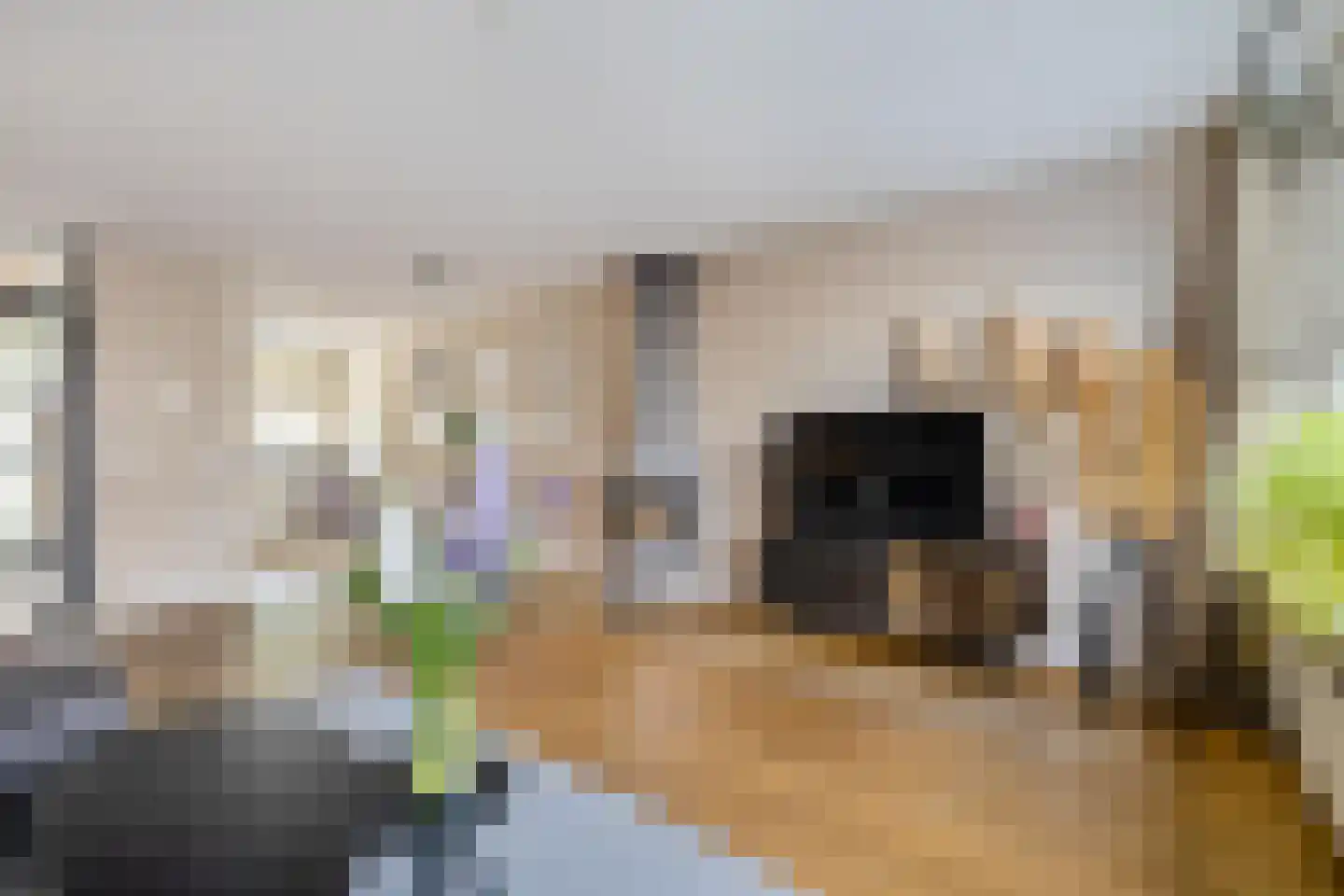 Maaskantlaan 6 Groningen thumbnail 14