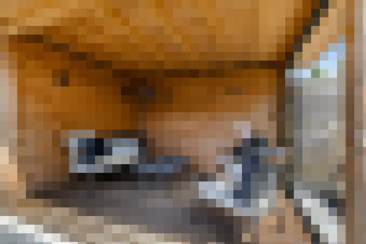 Maaskantlaan 6 Groningen thumbnail 28
