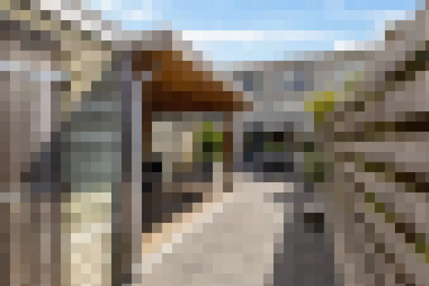 Maaskantlaan 6 Groningen thumbnail 29