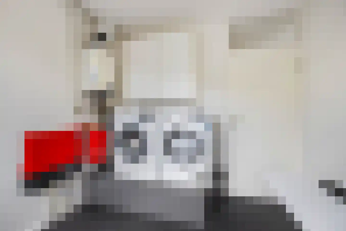 Maaskantlaan 6 Groningen thumbnail 39