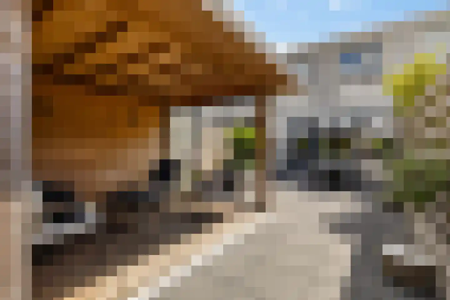 Maaskantlaan 6 Groningen thumbnail 4