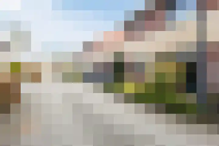 Maaskantstraat 4 Deventer thumbnail 4