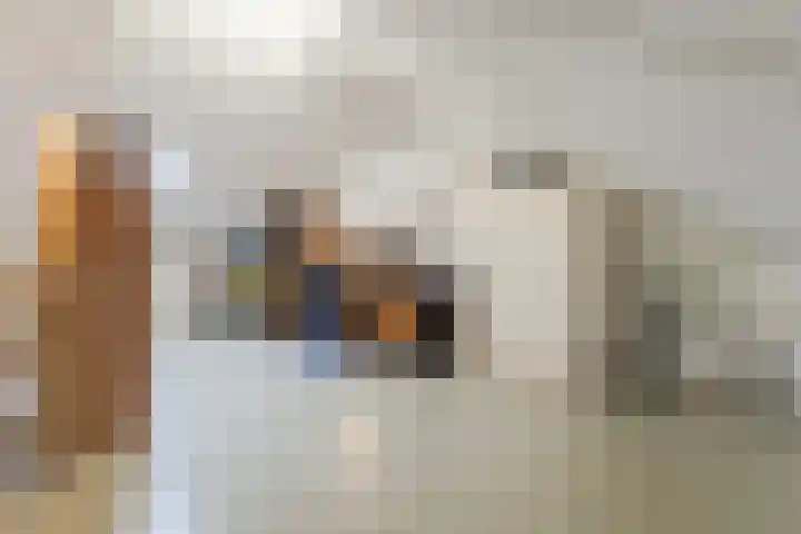 Maaskantstraat 4 Deventer thumbnail 52