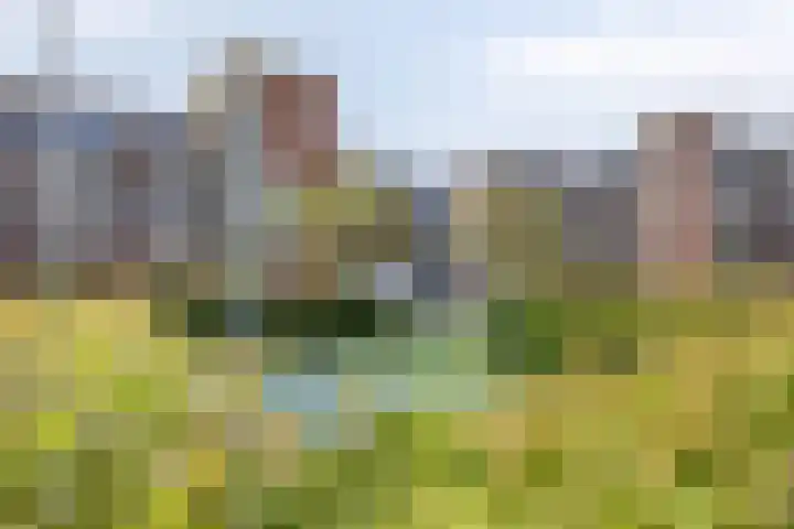 Maaskantveld 20 Barendrecht thumbnail 40
