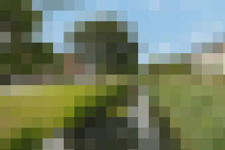 Maaskantveld 26 Barendrecht thumbnail 33