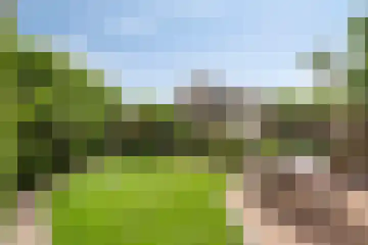 Maaslaan 106 Helmond thumbnail 17