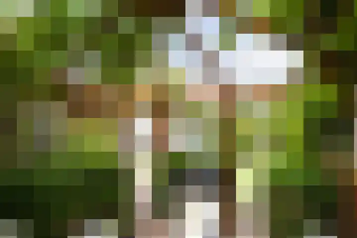 Maaslaan 106 Helmond thumbnail 20