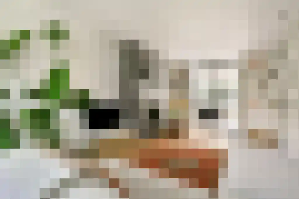 Maaslaan 11 Heemstede thumbnail 5
