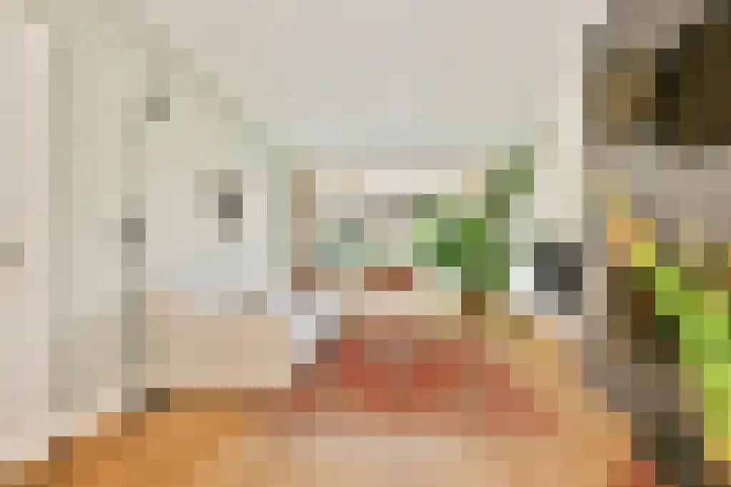 Maaslaan 11 Heemstede thumbnail 6