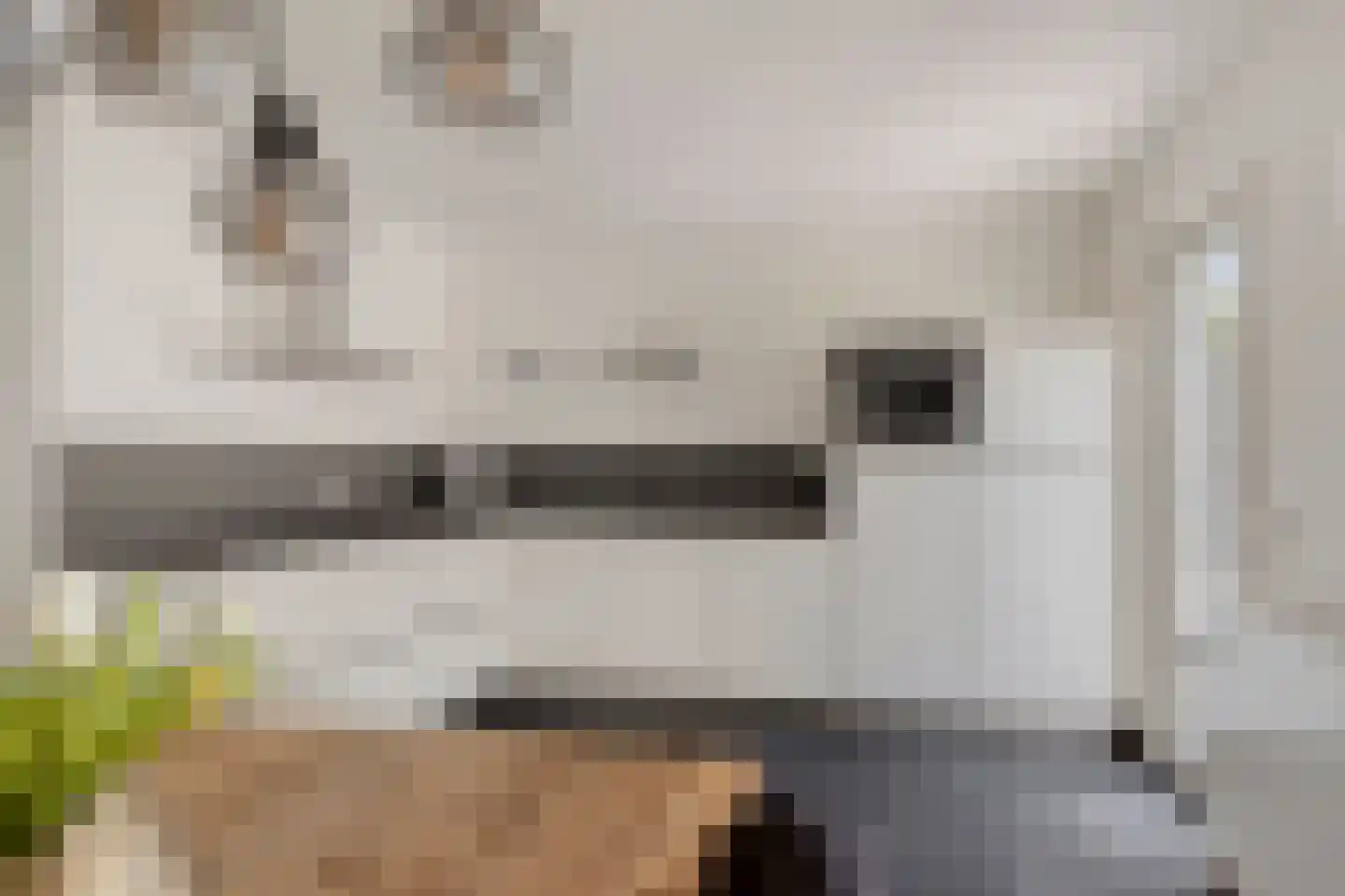 Maaslaan 113 Helmond thumbnail 12
