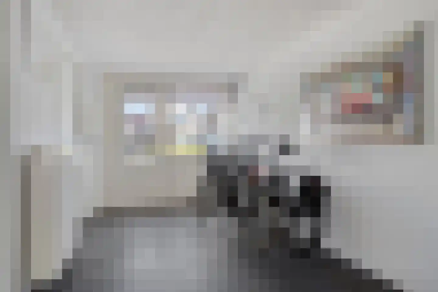 Maaslaan 113 Helmond thumbnail 14