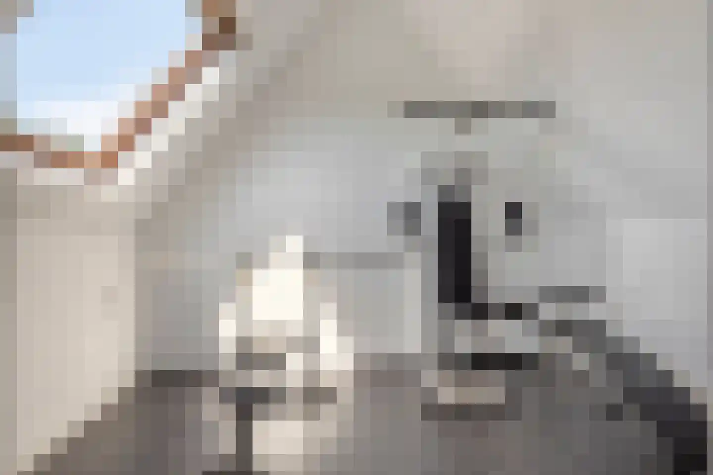Maaslaan 113 Helmond thumbnail 27