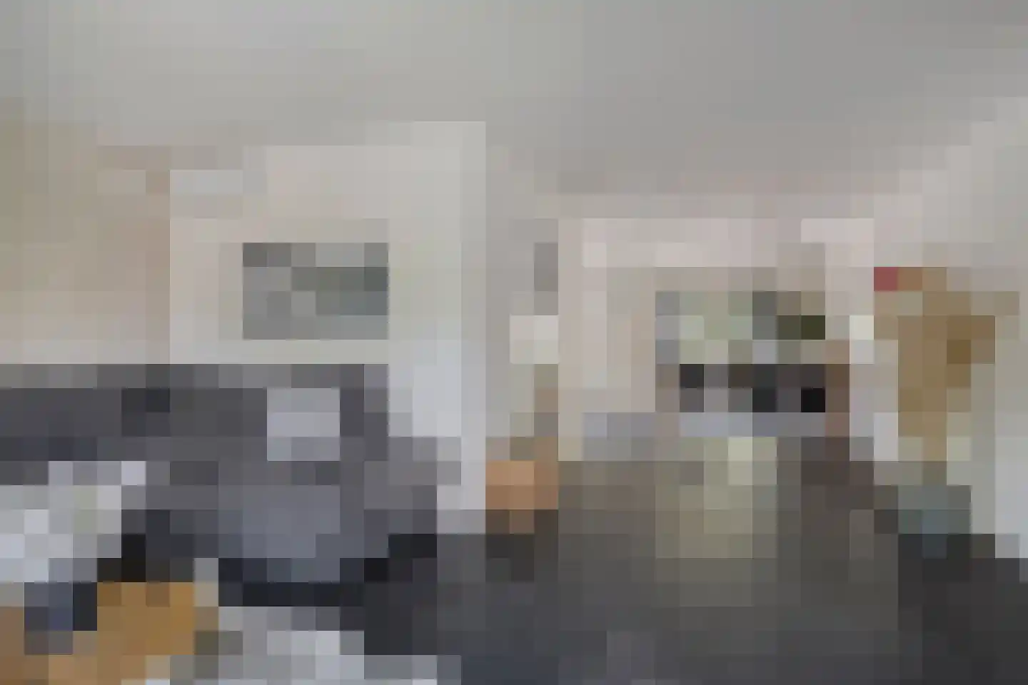 Maaslaan 113 Helmond thumbnail 6