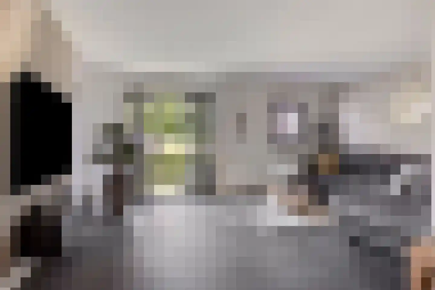 Maaslaan 113 Helmond thumbnail 7
