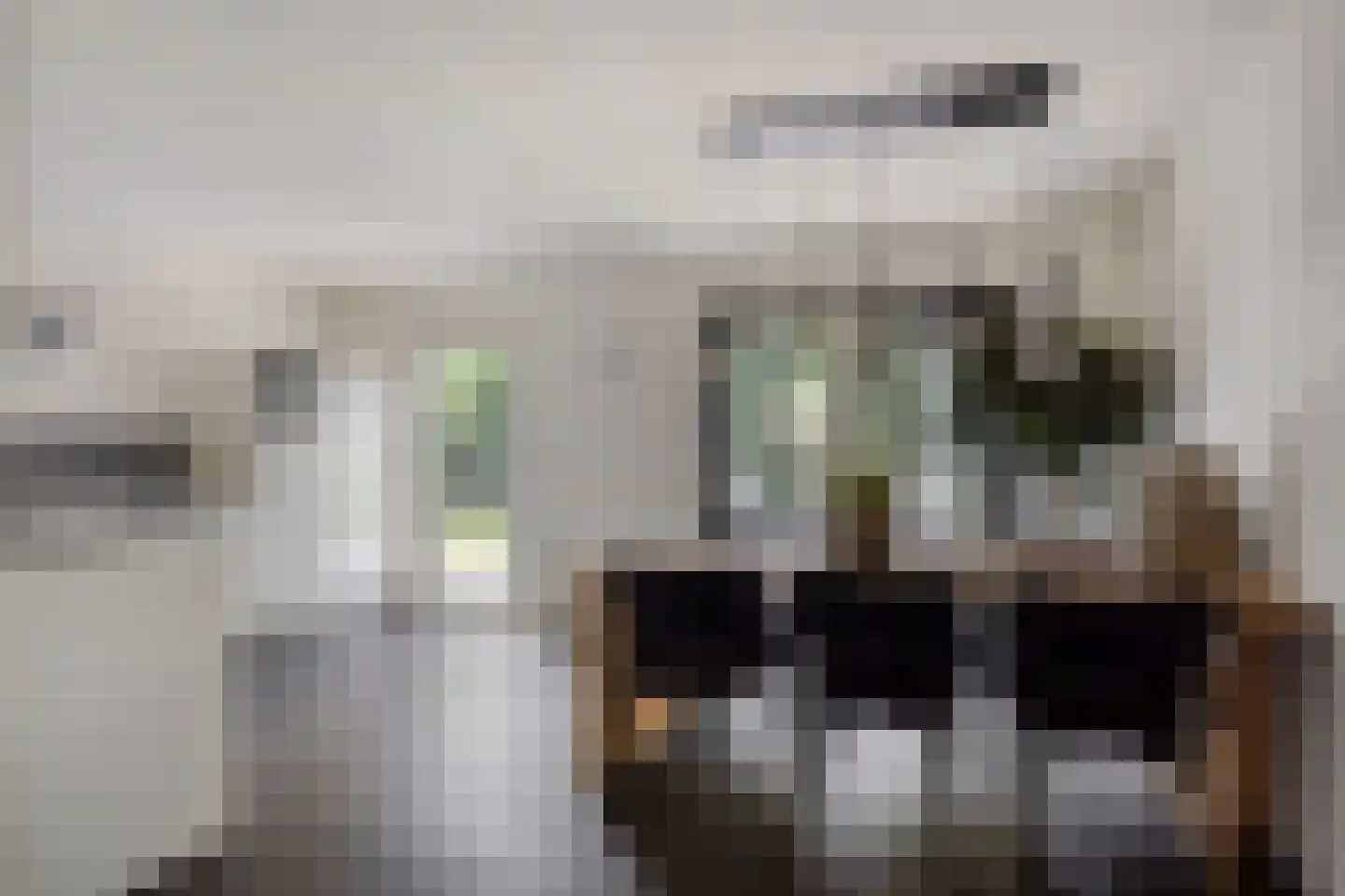 Maaslaan 113 Helmond thumbnail 8