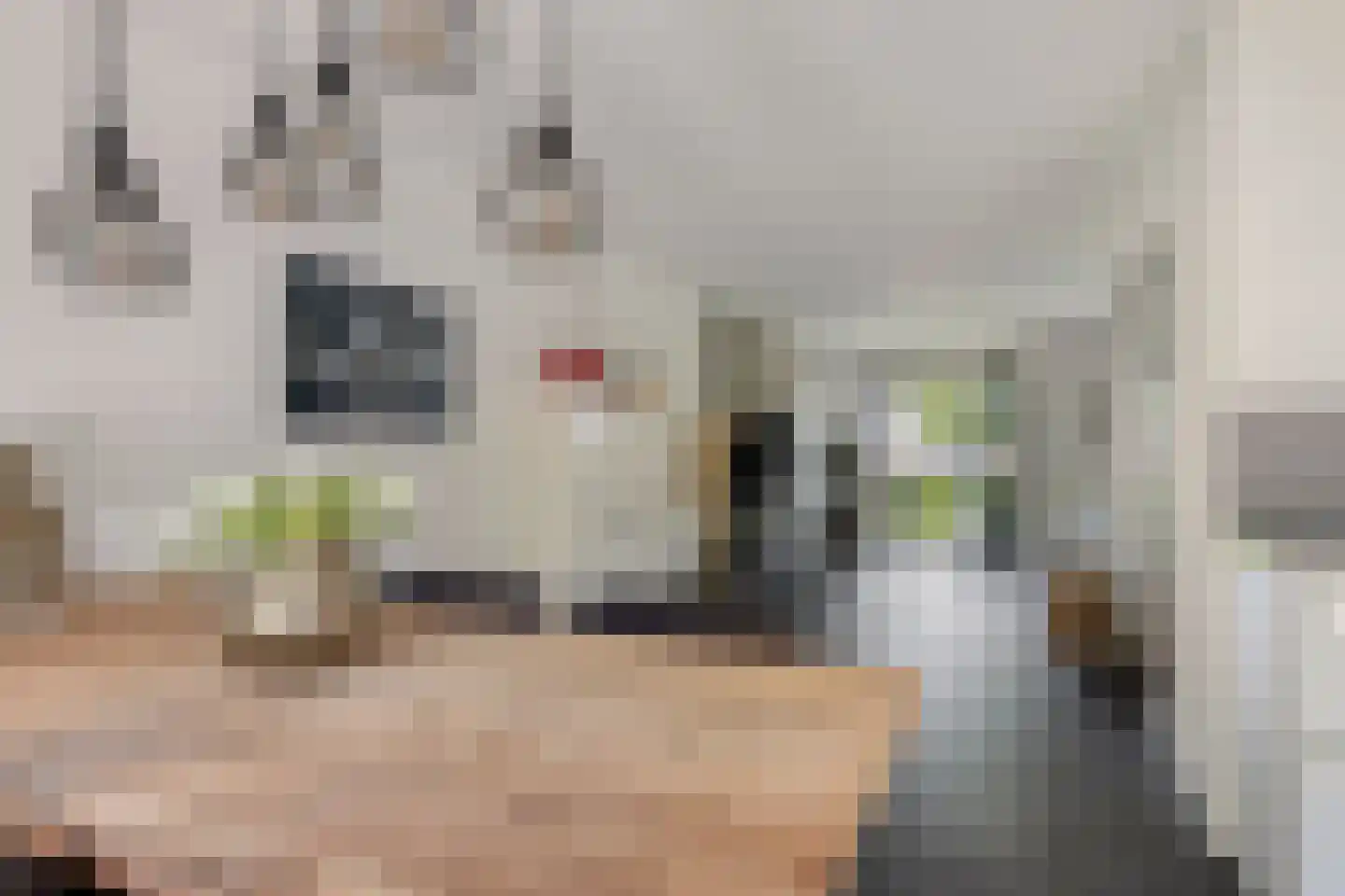Maaslaan 113 Helmond thumbnail 9