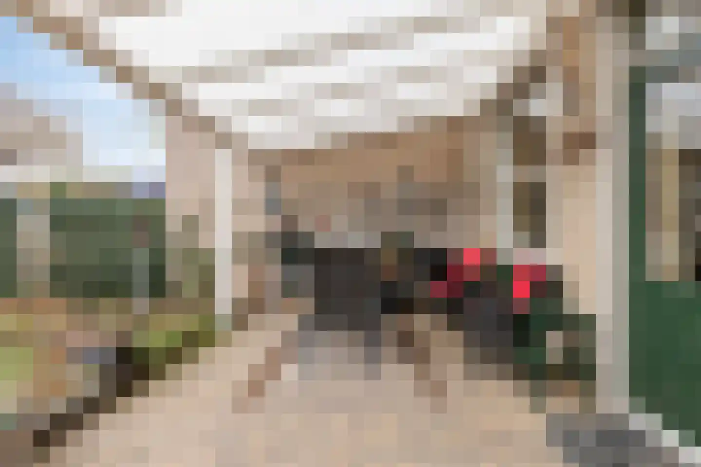 Maaslaan 132 Helmond thumbnail 32