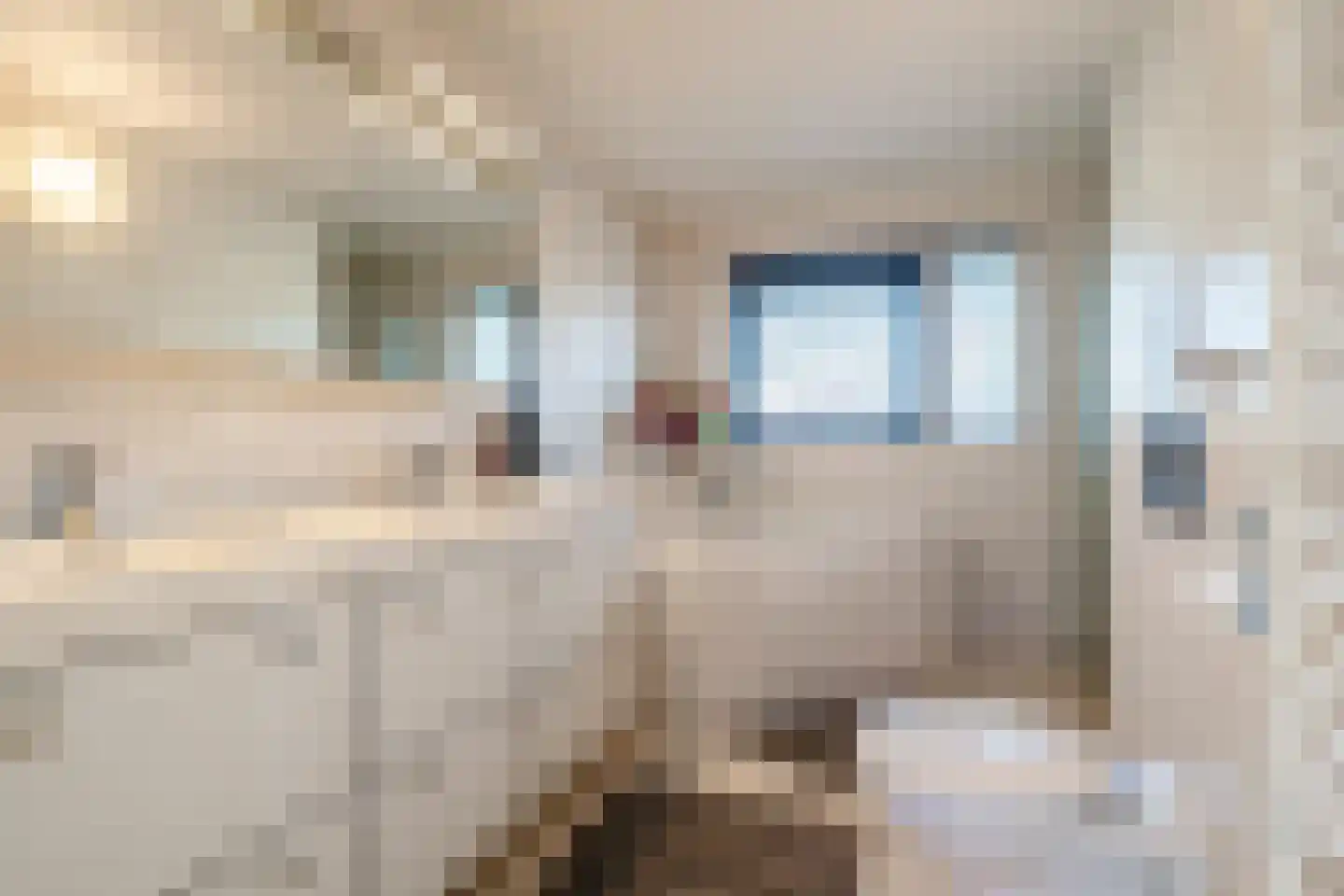Maaslaan 17 Kropswolde thumbnail 44