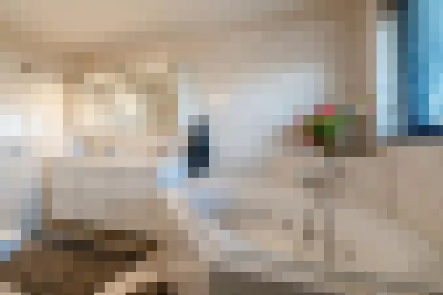 Maaslaan 17 Kropswolde thumbnail 47
