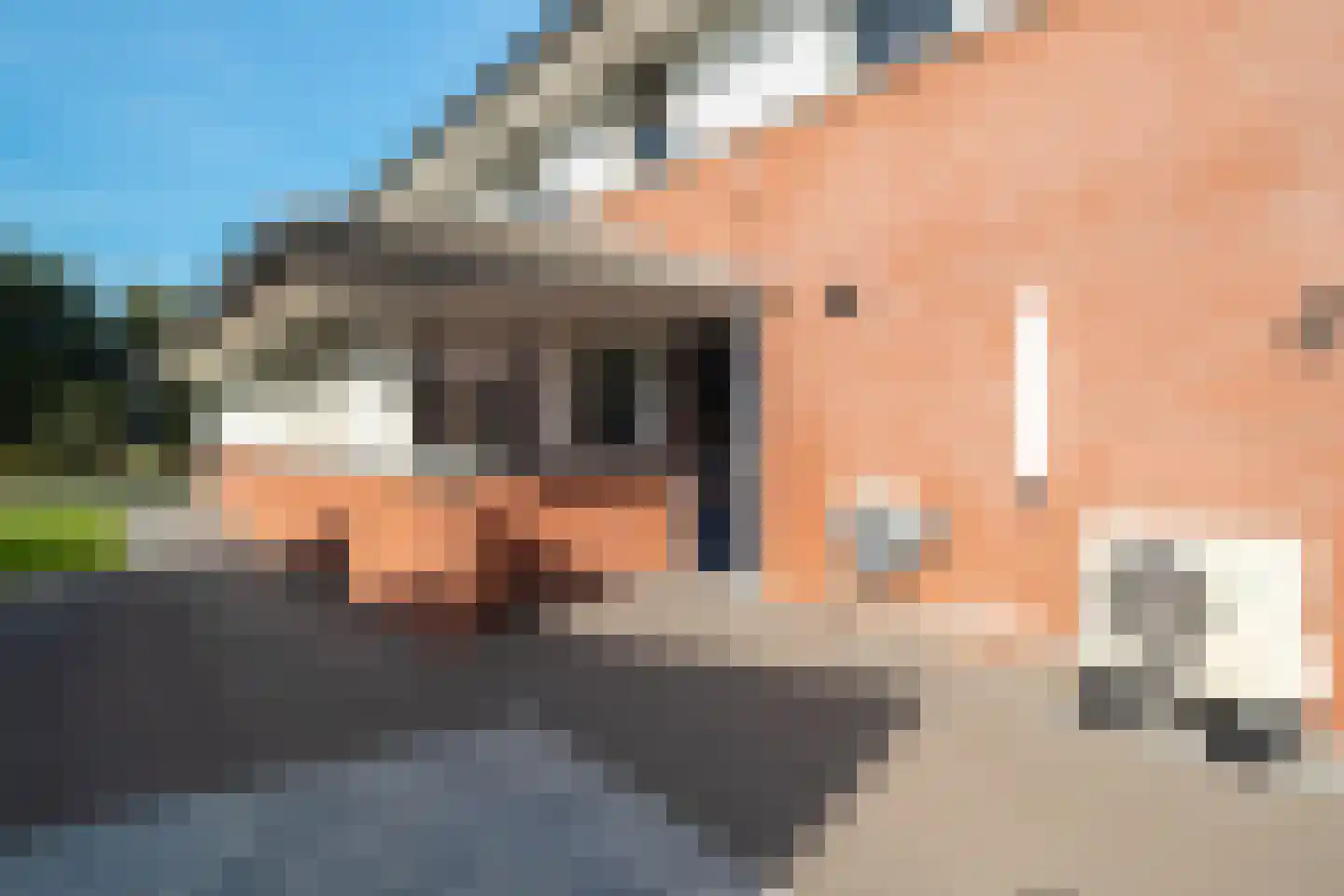 Maaslaan 17 Kropswolde thumbnail 64