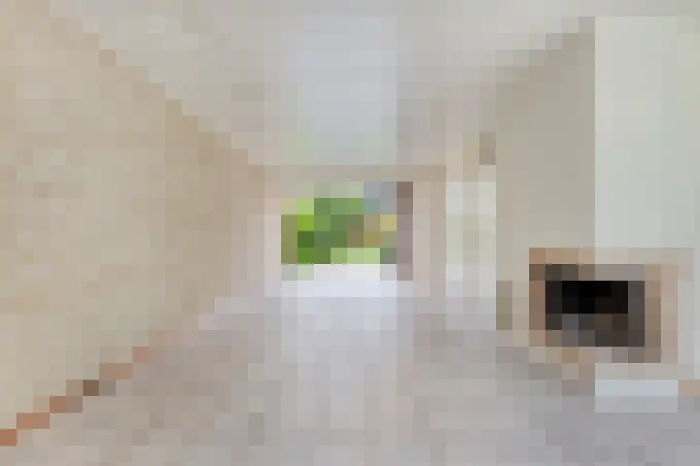 Maaslaan 17 Son en Breugel thumbnail 15