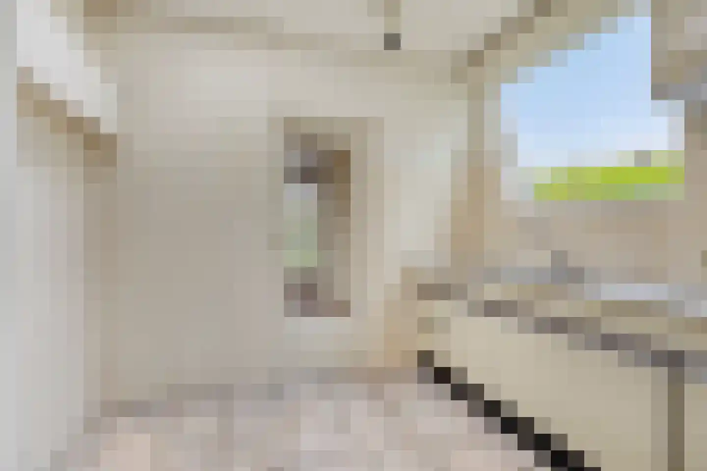 Maaslaan 17 Son en Breugel thumbnail 17