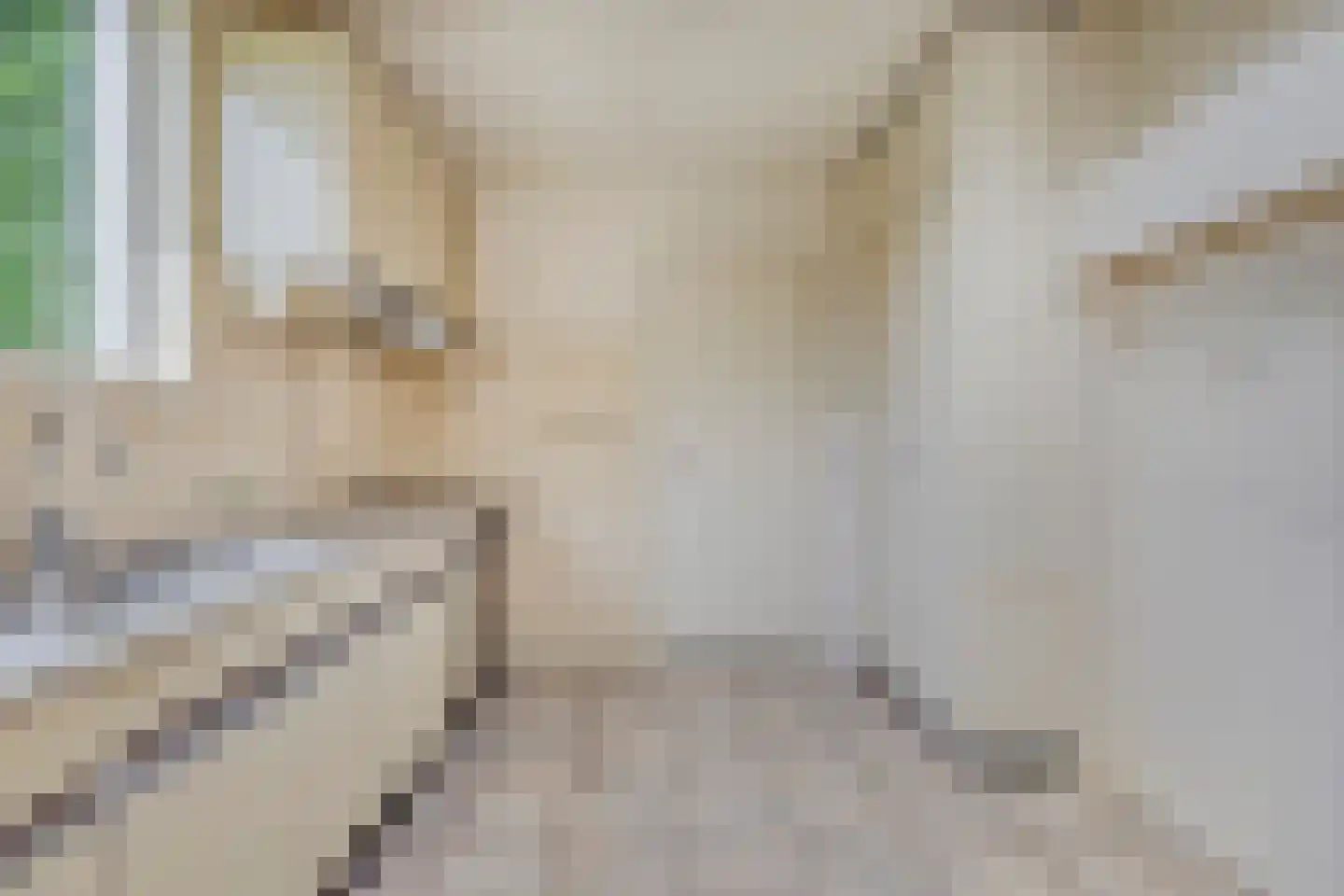 Maaslaan 17 Son en Breugel thumbnail 19