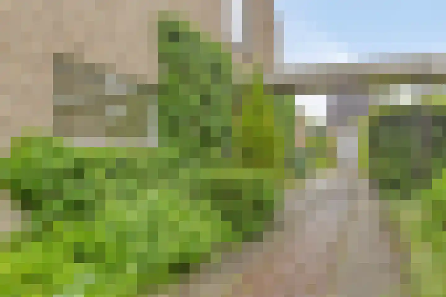 Maaslaan 17 Son en Breugel thumbnail 49