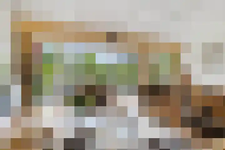 Maaslaan 2 Kropswolde thumbnail 11