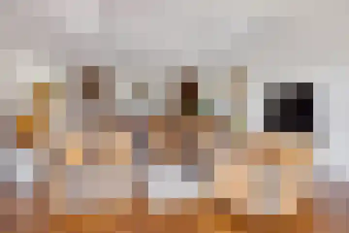 Maaslaan 2 Kropswolde thumbnail 12