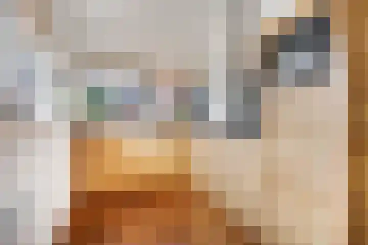 Maaslaan 2 Kropswolde thumbnail 17
