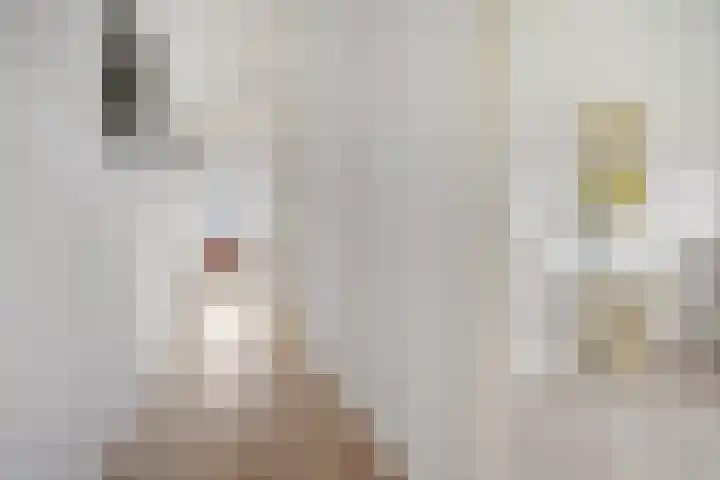 Maaslaan 2 Kropswolde thumbnail 23