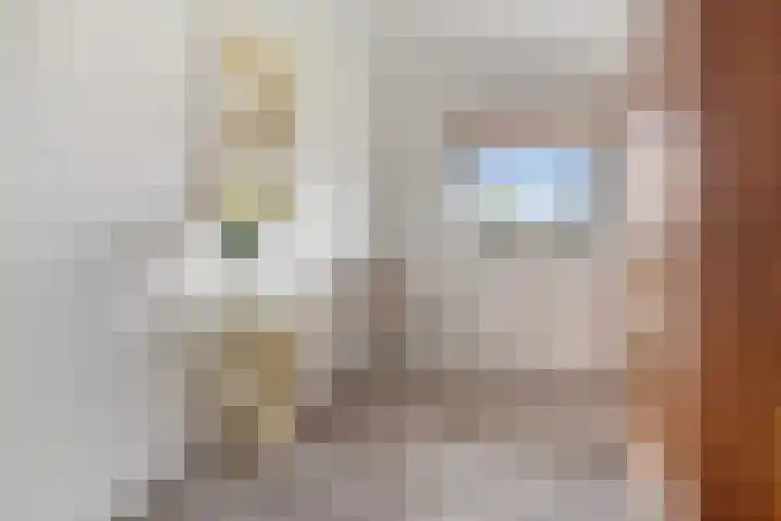 Maaslaan 2 Kropswolde thumbnail 26