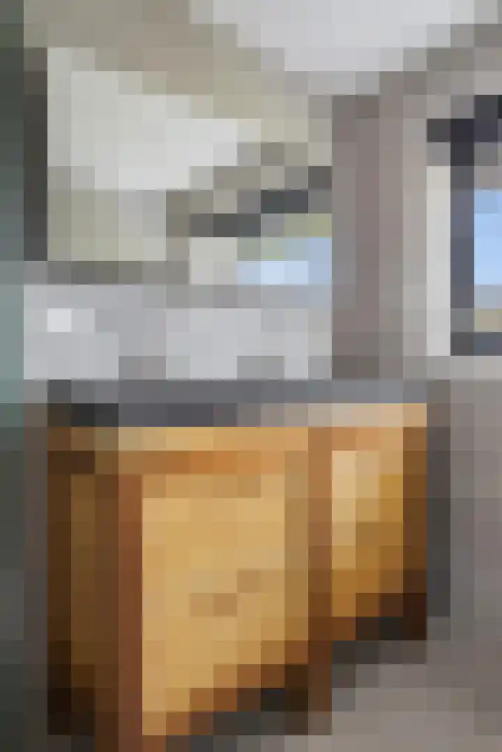 Maaslaan 2 Kropswolde thumbnail 34
