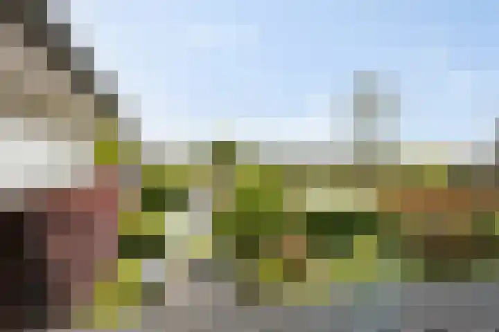 Maaslaan 2 Kropswolde thumbnail 35