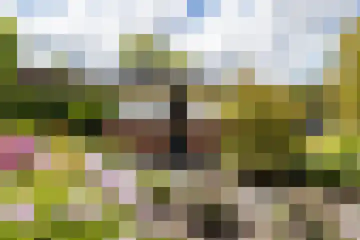 Maaslaan 2 Kropswolde thumbnail 37
